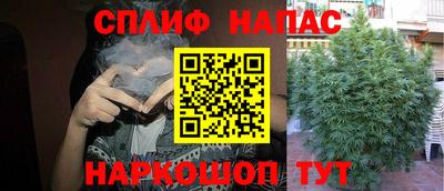 ПСИЛОЦИБИНОВЫЕ ГРИБЫ Малоярославец