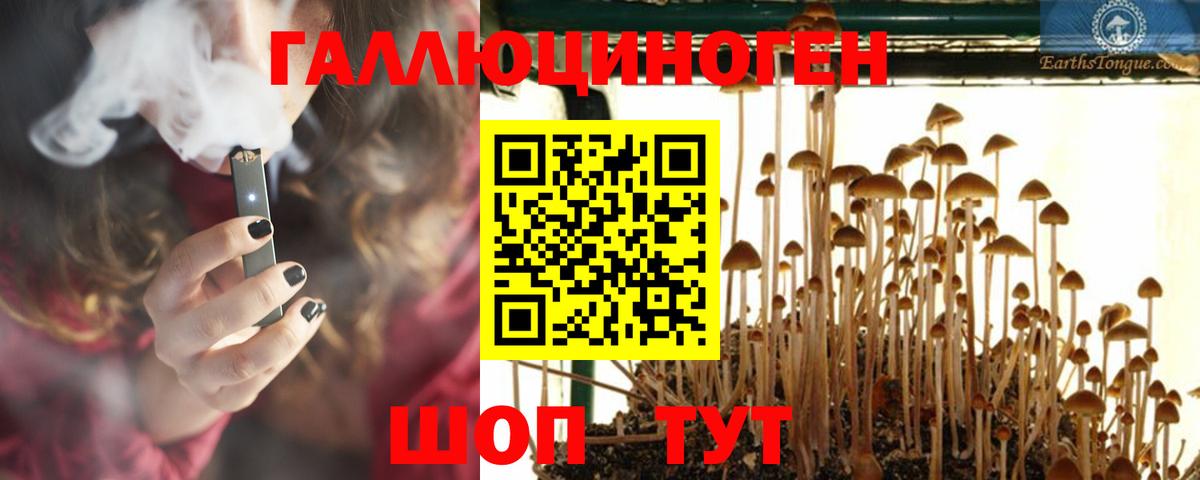 Псилоцибиновые грибы мицелий Чебоксары